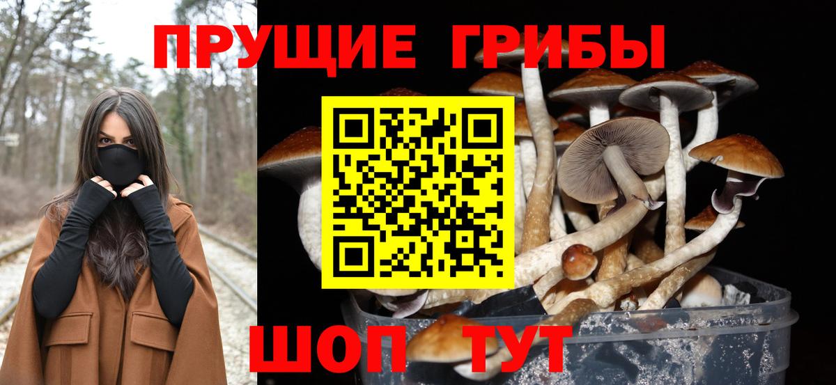 КОКАИН  Вход с VPN  Орск  А ПВП СК кристаллы  ГАШИШ  Мефедрон  Меф кристаллы  Каннабис  LSD-25 